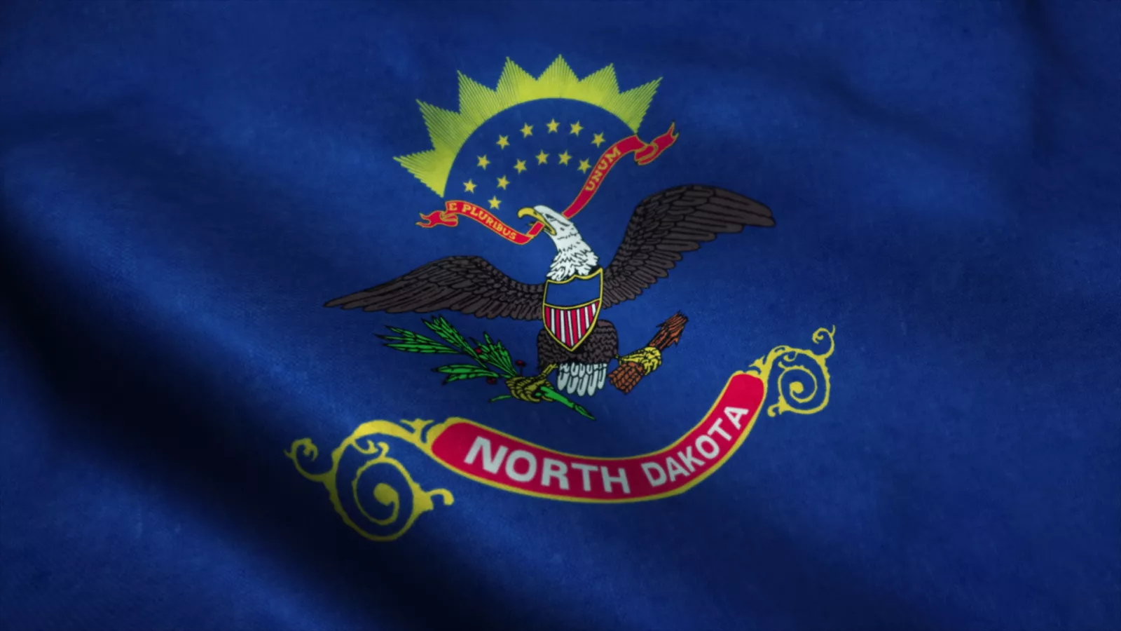 image of ND state flag