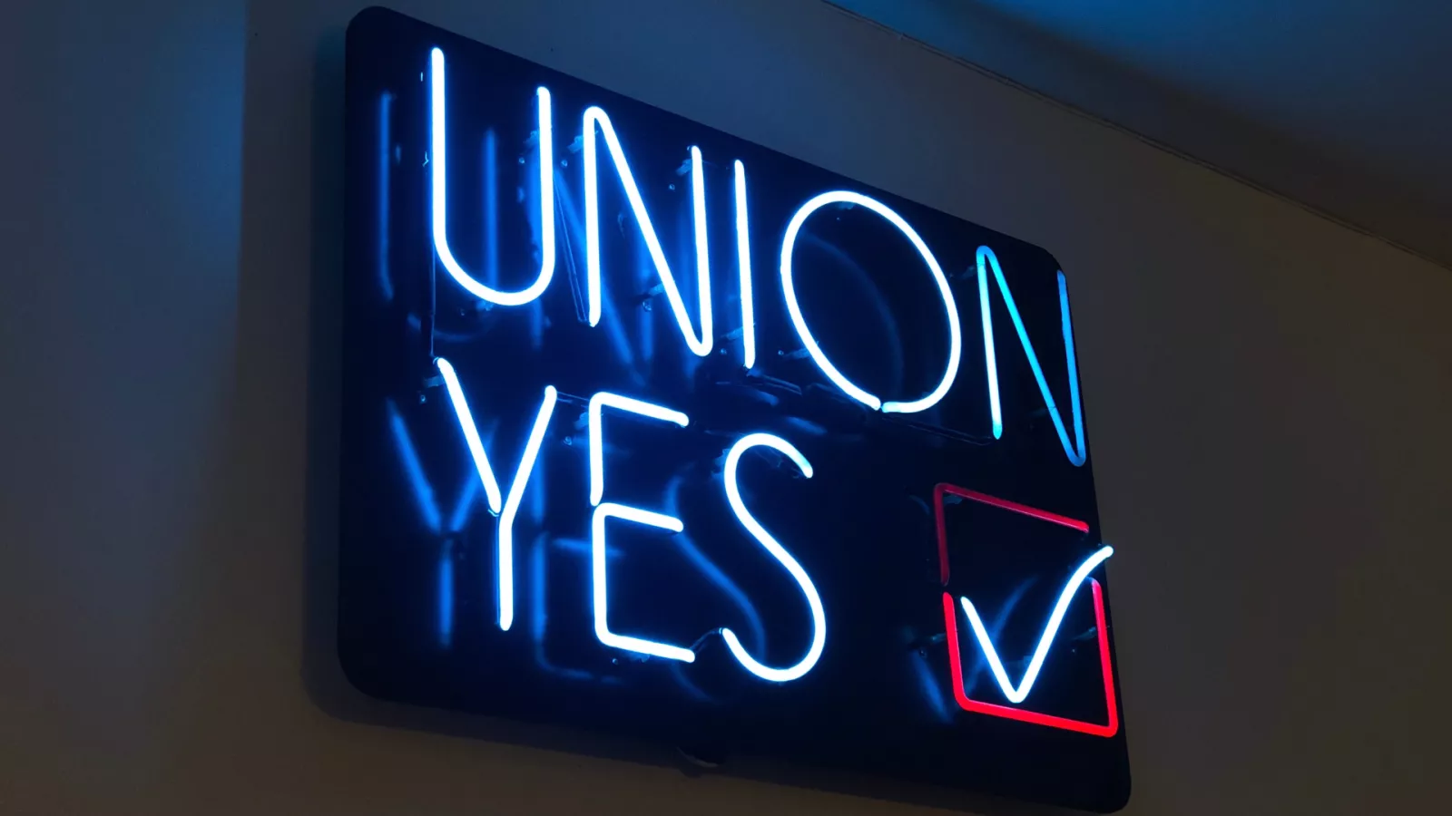 neon sign that says union yes