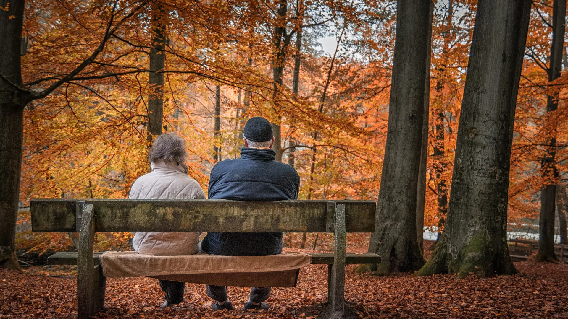 elderly couple sitting on a bench in the autumn