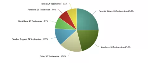 pie chart graph showing the areas people testified about